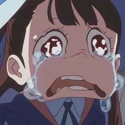 funny crying anime pfps